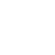 Aseguradora AIG