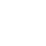 Aseguradora tokio marine