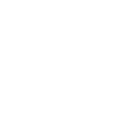 Aseguradora GNP